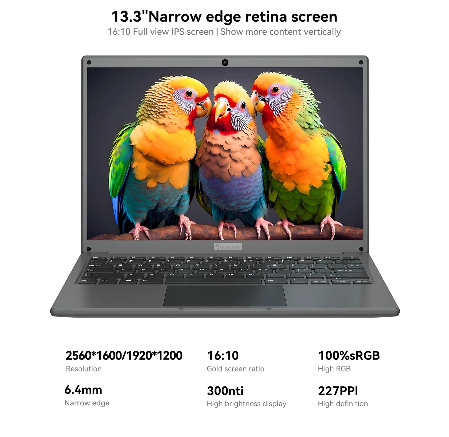 Adreamer LeoBook13 Laptop 8GB RAM 1TB SSD Notebook 13.3 - inch 2560X1600 Resolution Computer Intel Celeron N4020 Ship From US - BSMART