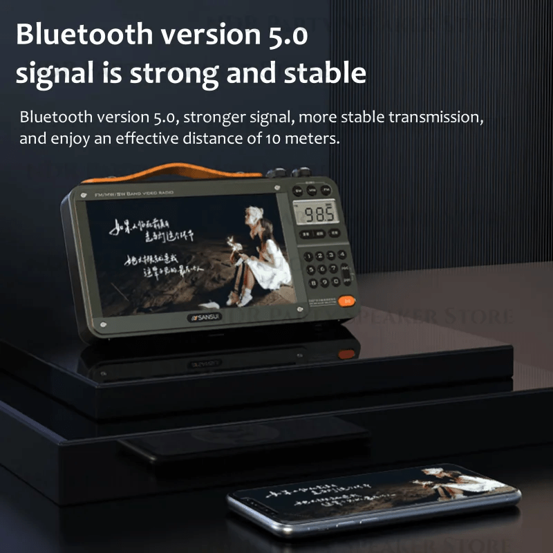 MP4 Music Video Player - BSMART